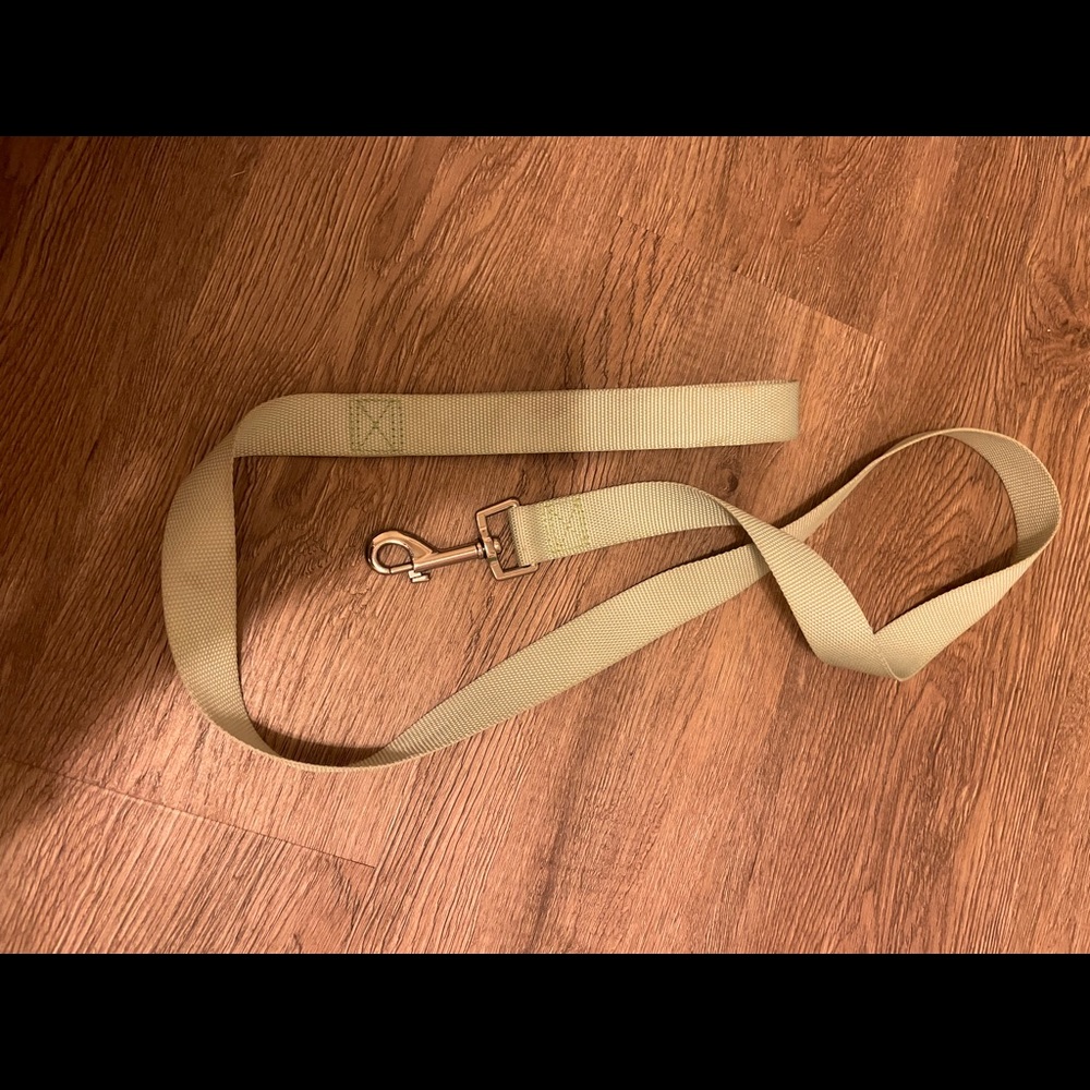 4’ light green dog leash